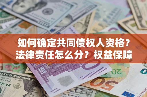 北京如何确定共同债权人资格？法律责任怎么分？权益保障技巧揭秘！