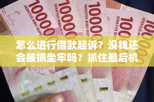 北京怎么进行借款起诉？没钱还会被抓坐牢吗？抓住最后机会！